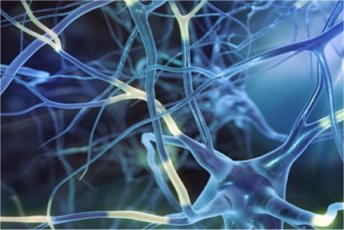 A model of true and illusory recollection