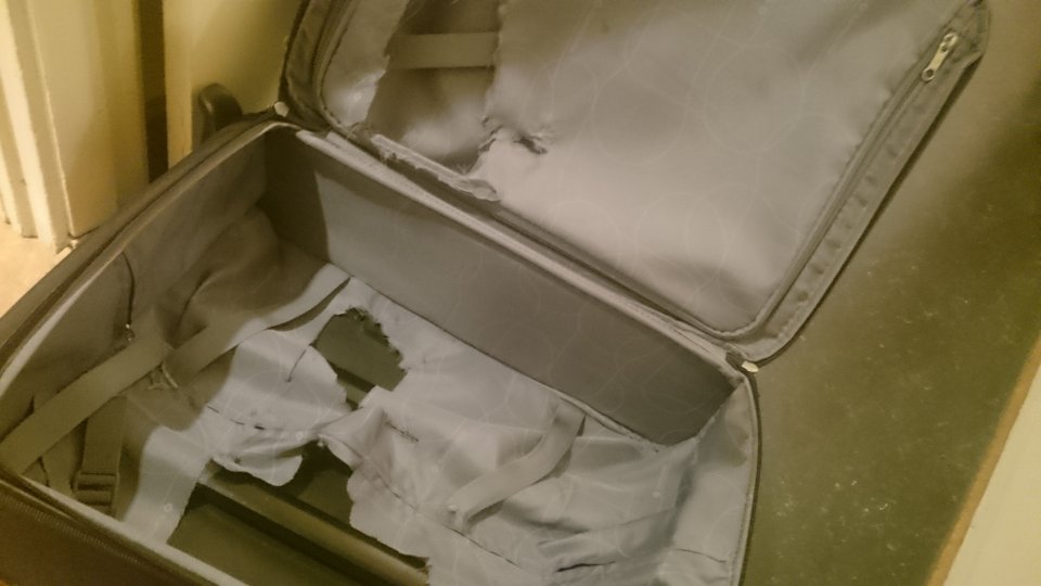 Guinness Beer inside a bag
