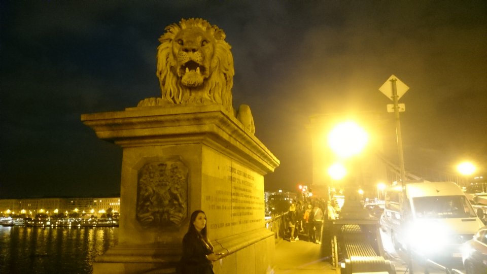 Sz&eacute;chenyi Chain Bridge. Budapest
