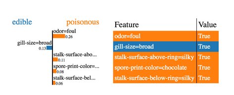Lime. The importance of each feature.