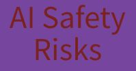 Ai Safety Risks