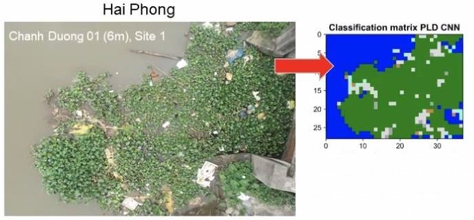 Immolized waste trapped in floating vegetation or accumulated at the shore