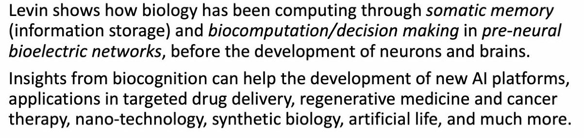 Levin Computations
