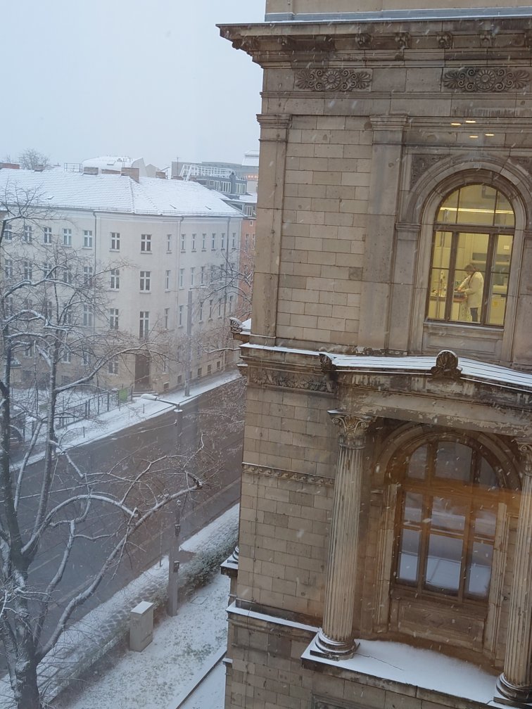 Humboldt University of Berlin