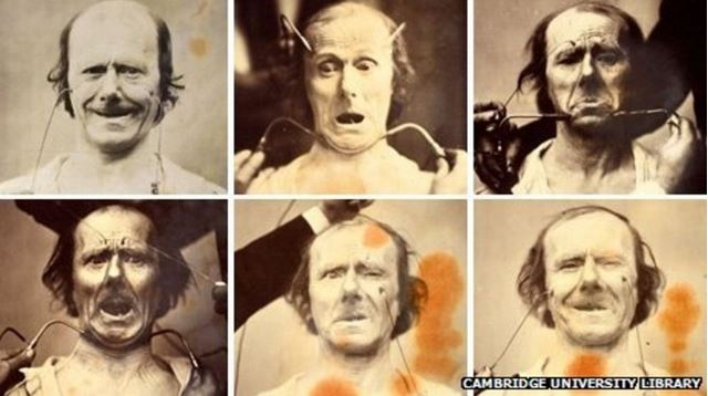 Darwin Emotions