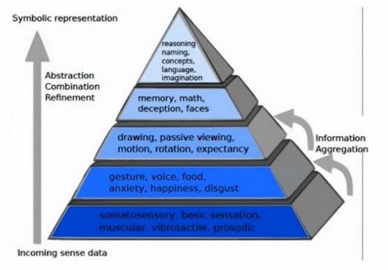 Deep Neural Networks Abstract Like Humans