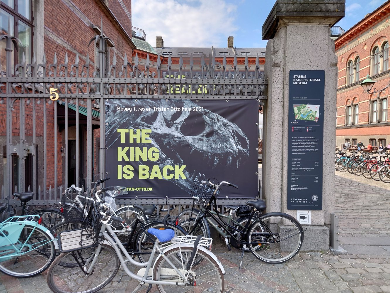 T-Rex. Statens Naturhistoriske Museum