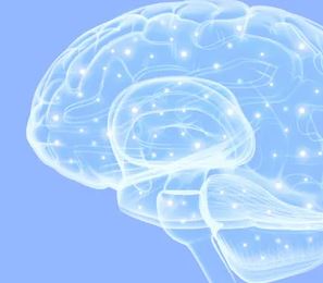 The Brain Conference - UK