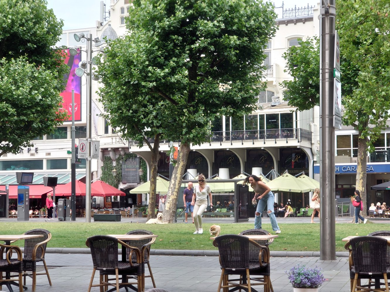 Impressions. Rembrandtplein. Amsterdam 2022