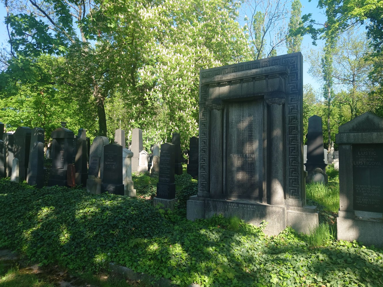 New Jewish Cemetery. Prague. April, 2025.