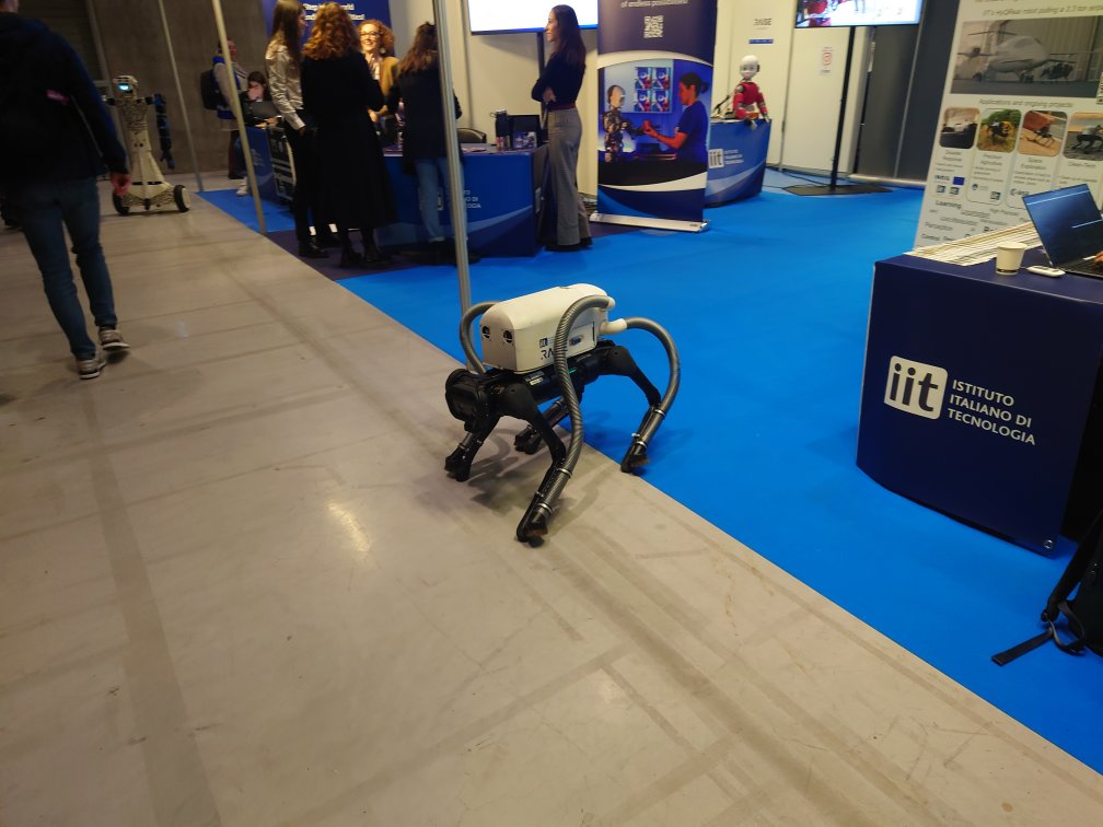 Istituto Italiano di Tecnologia