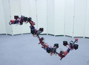 Humanoids 2024. Nancy, France.