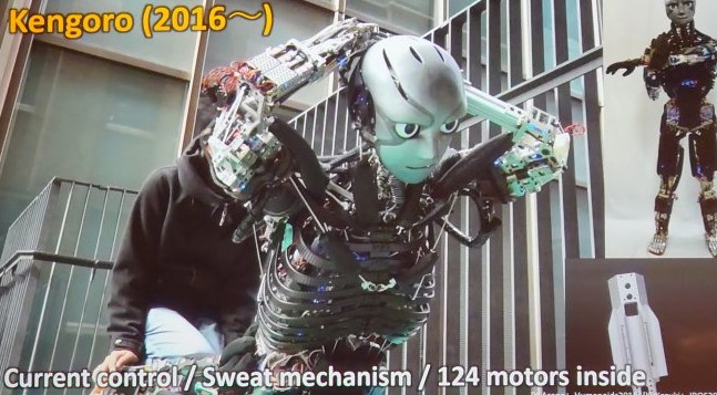 Humanoids 2024. Nancy, France.