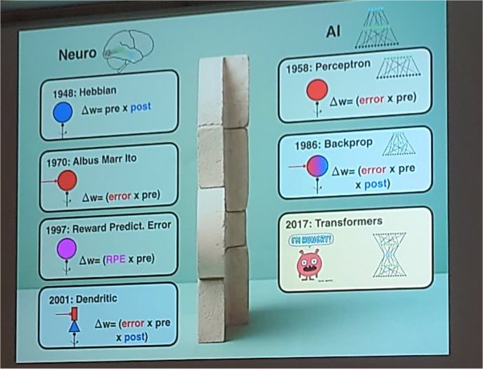 International Workshop on Human Brain and Artificial Intelligence. Bremen, Germany. August 2026.