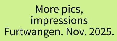 More pics. Furtwangen. Nov 2025. More pics. Furtwangen. Nov 2025.